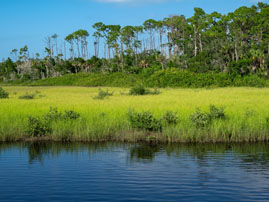 Explore Volusia: Estuary Exploration Event Featured Image