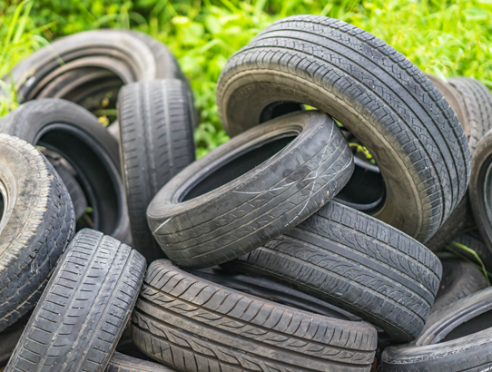 Fight the bite; dispose of tires right!