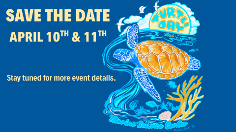 Turtle Day at the Marine Science Center Event Featured Image