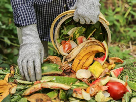 DeBary Hall: Composting Made Simple Event Featured Image