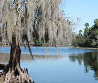 Explore Volusia: Hickory Bluff Hike Event Featured Image