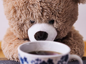 DeBary Hall: Teddy Bear Tea Party Event Featured Image