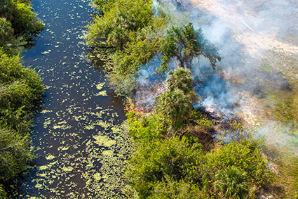 NWS Issues Fire Weather Watch for Tuesday as Wildfire Risk Expected to Increase Across the Region Story Featured Image