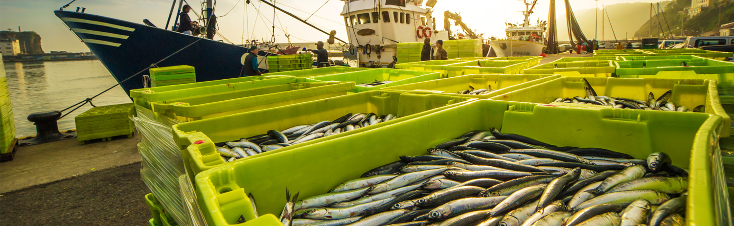 Get Your HCP Training Certification Card