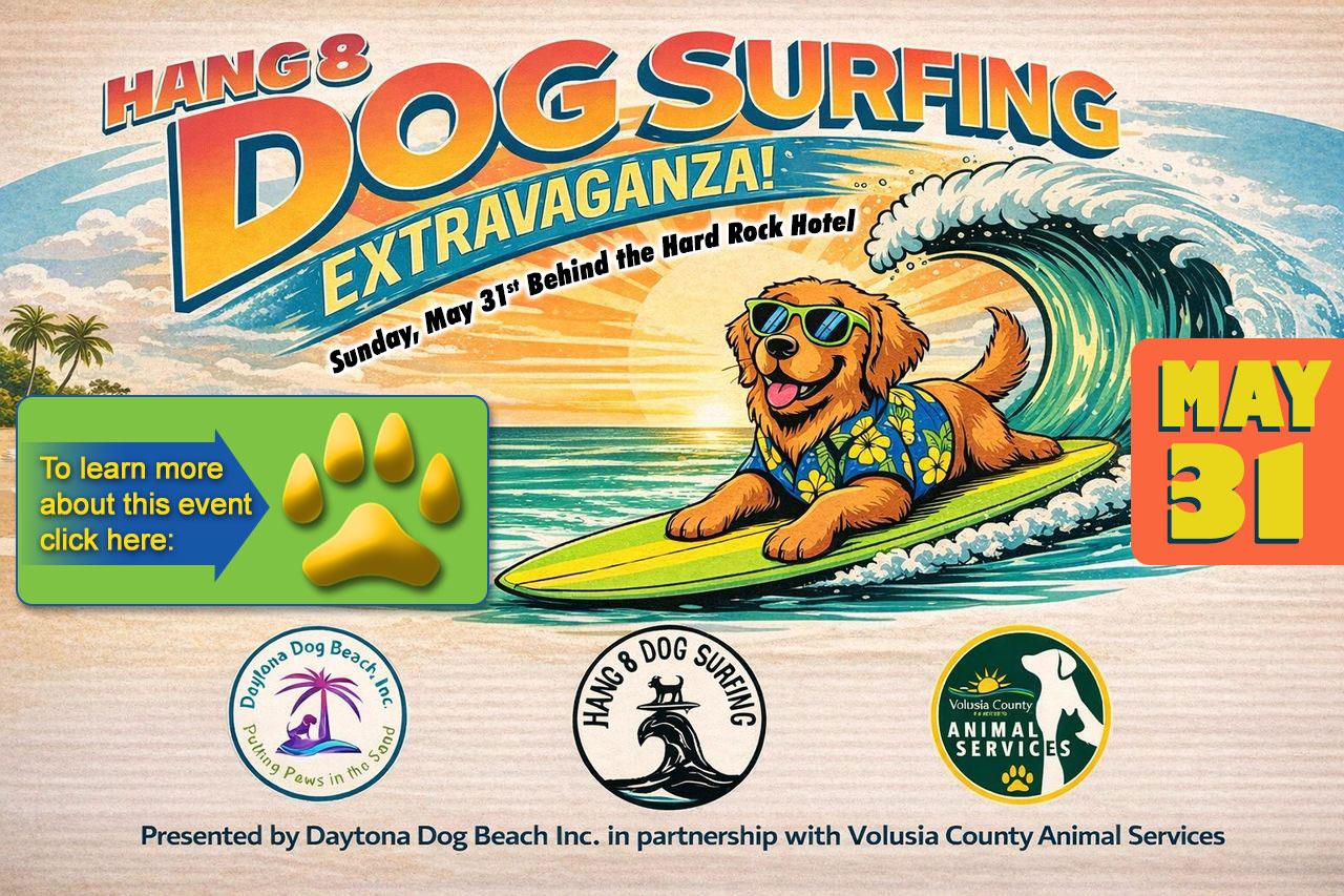 Dog Surfing Event Banner Ad MAY 31, 2026!