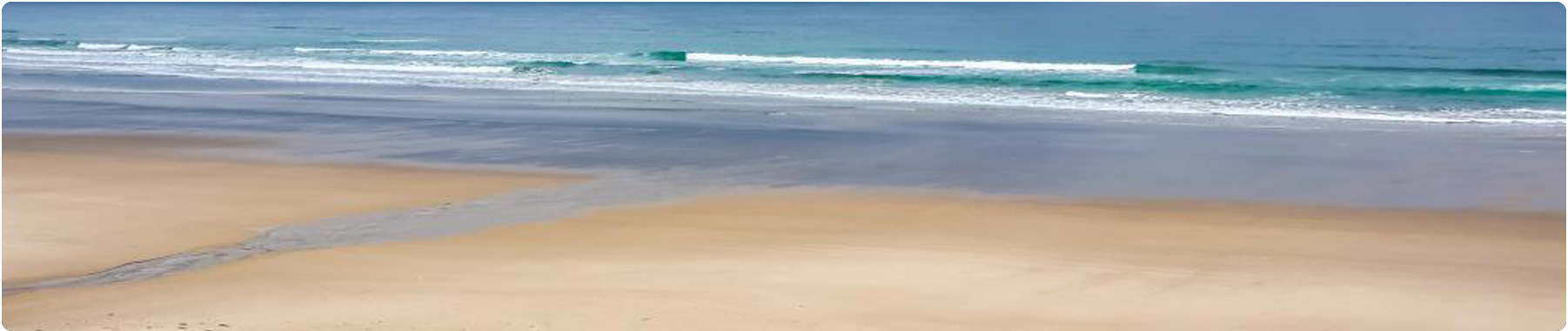 Dunlawton Beach Cam 180