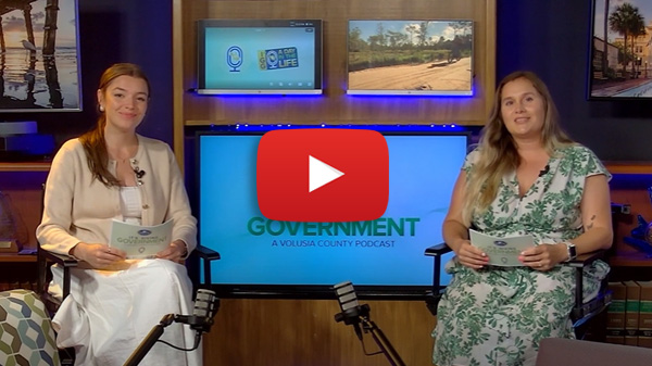 It's Giving Government