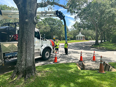 Open-channel-with-tree-crew