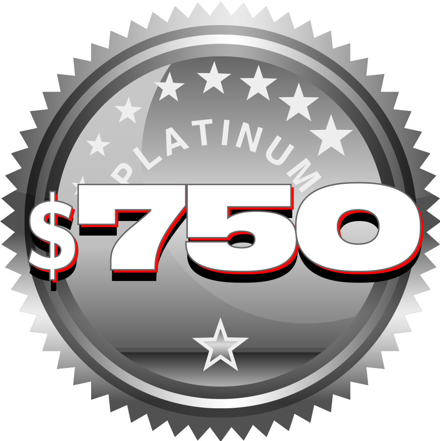 Platinum Sponsor