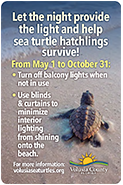 Sea Turtle Lighting Sticker