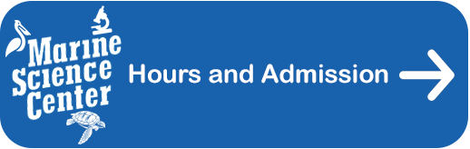 Marine Science Center