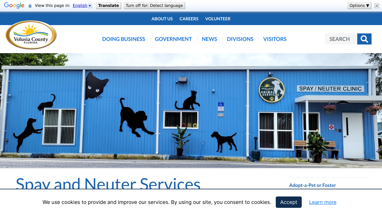 Spay and neuter cruiser | Benkens.blog